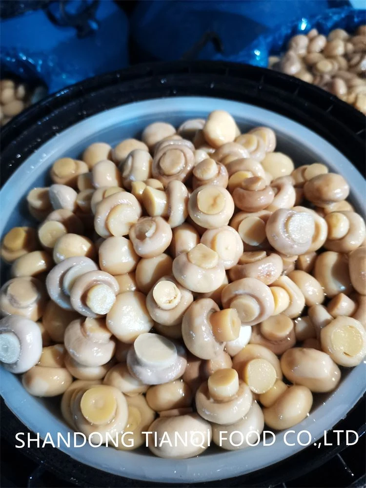 whole mushroom in vinegar in drums