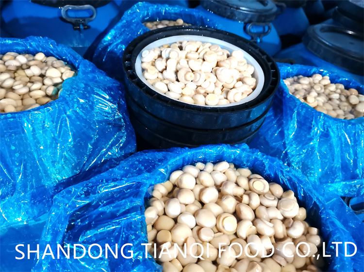 Whole white mushroom in salted water in barrel Whole white mushroom in salted water in barrel