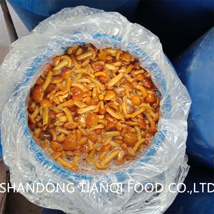 Factory nameko in brine in drums Factory nameko in brine in drums