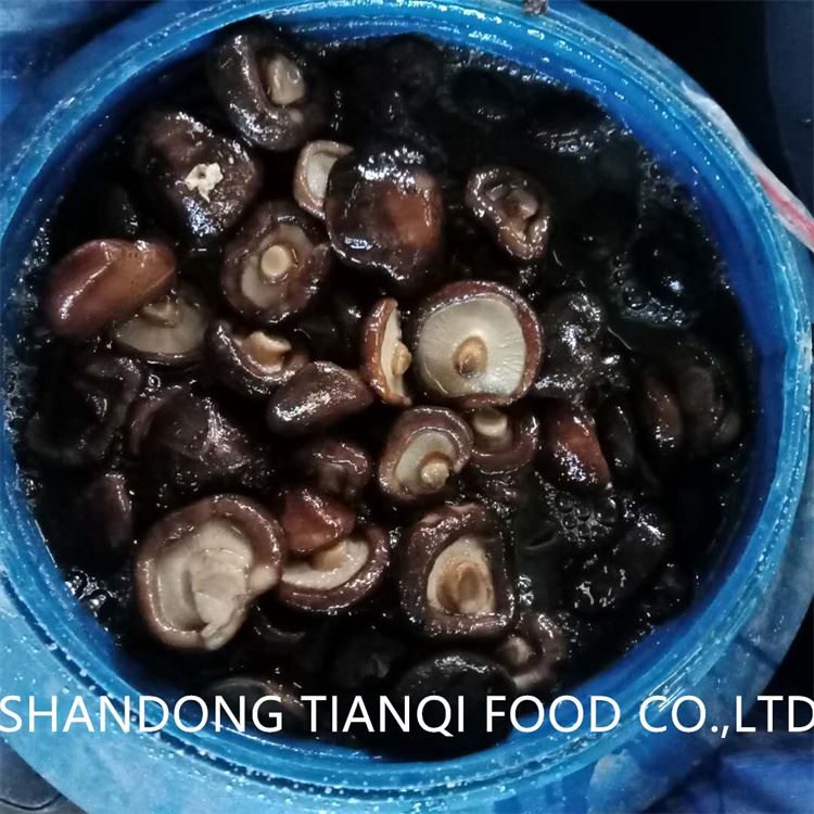 Closed shiitake in brine in drums Closed shiitake in brine in drums