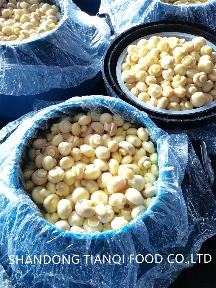 Good quality white mushroom in brine in drums