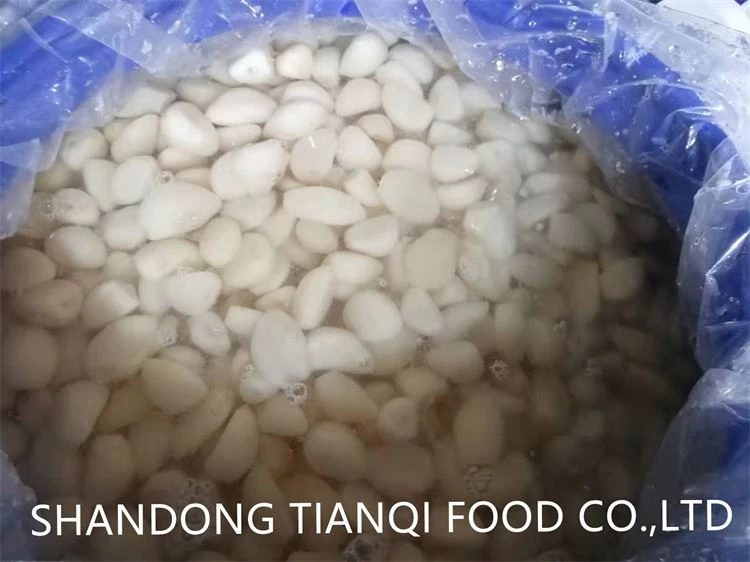Normal white garlic in salted water in barrel