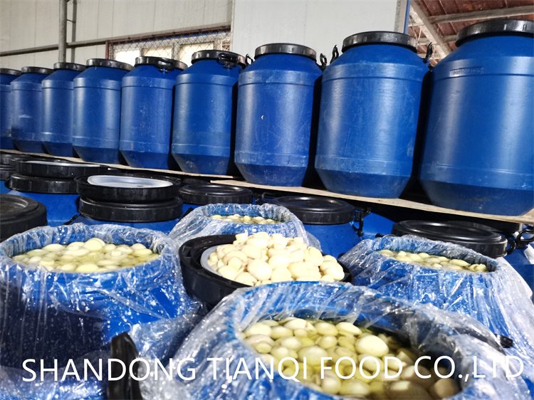 Drum packing white mushroom in SO2 in barrel Drum packing white mushroom in SO2 in barrel