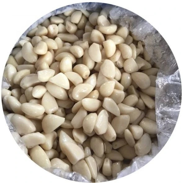 Pickled peeled garlic cloves in brine in drums