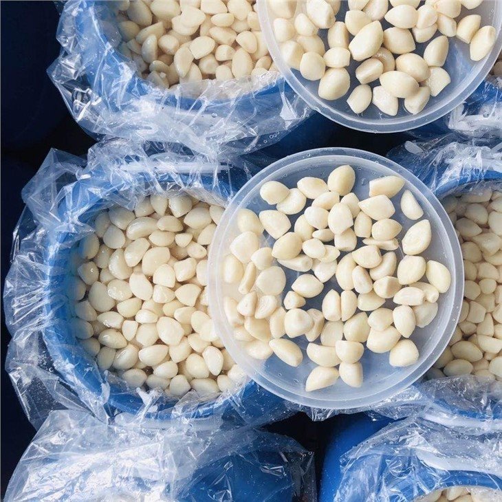 Pickled peeled white garlic cloves in salted water