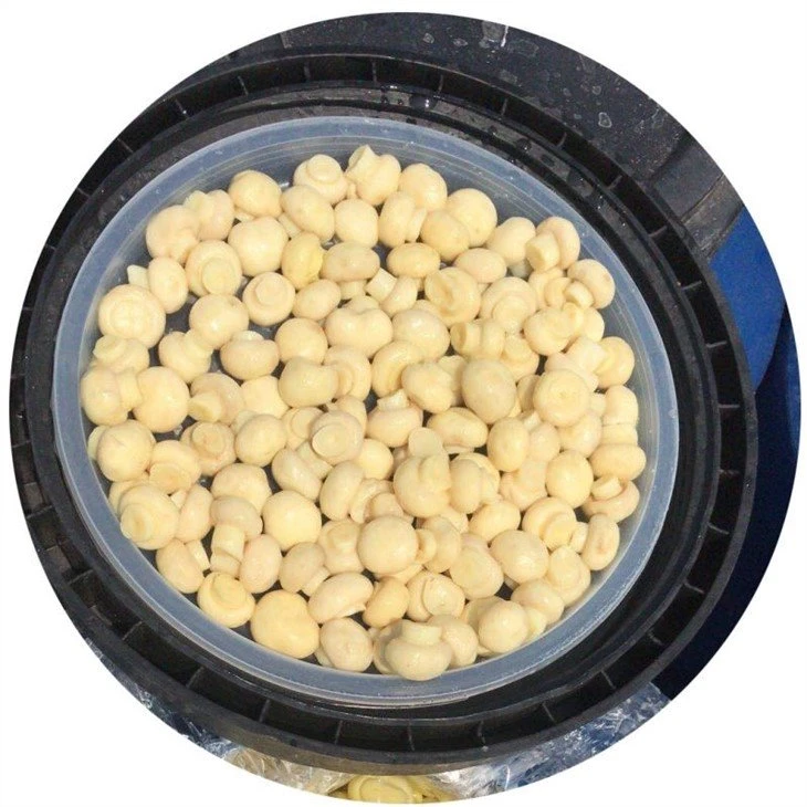 Whole white champignon in salted water in drums