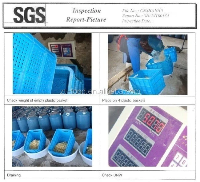 Factory white mushroom in salted water in plastic drums