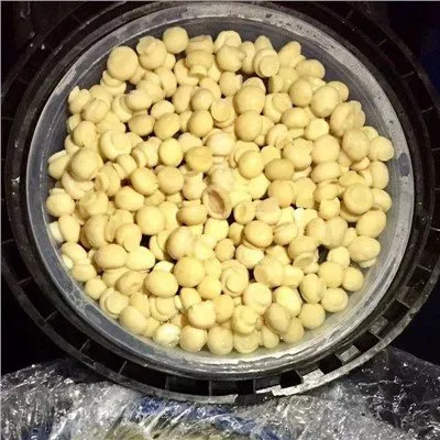 Цели слани шампињони у бубњу