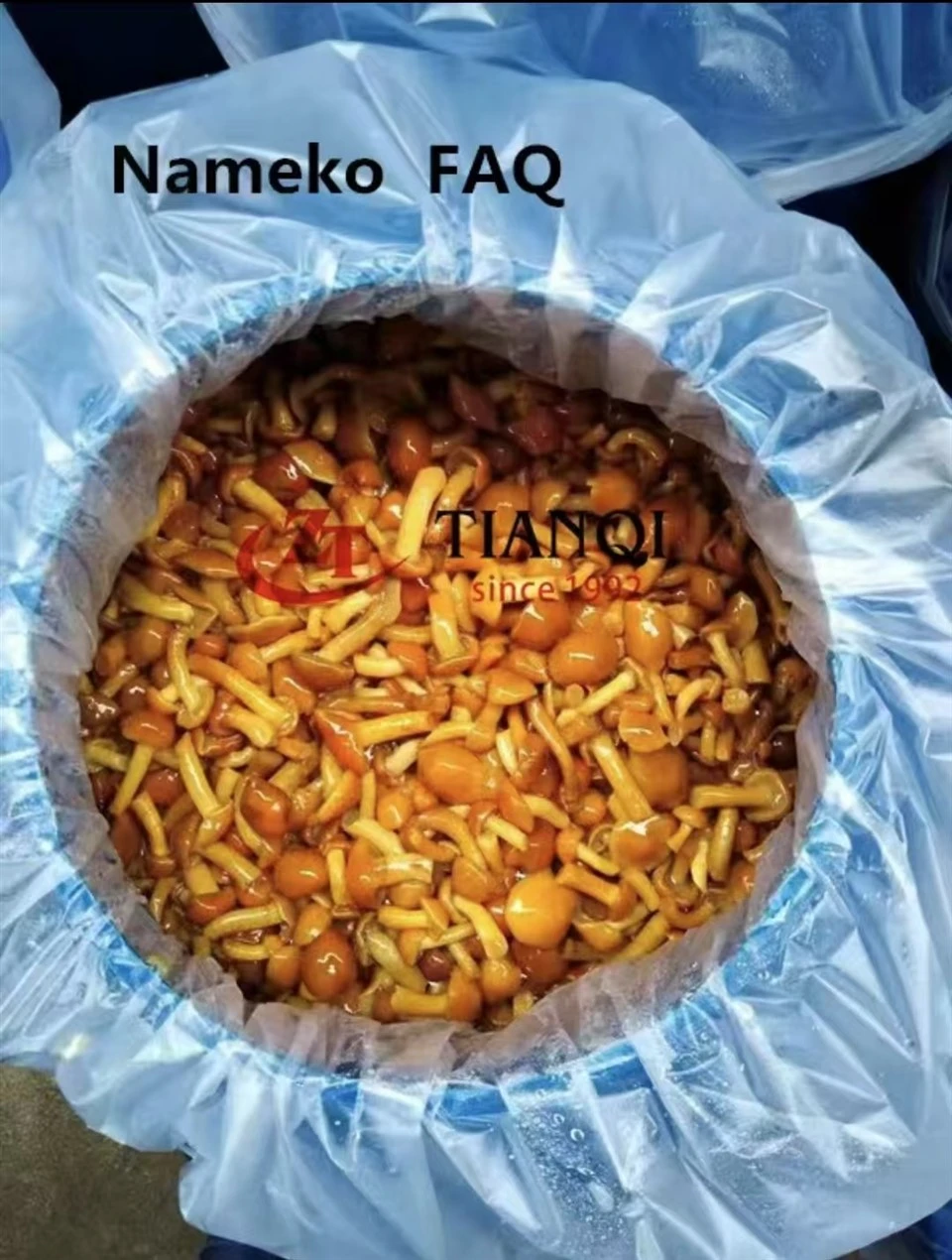 Намеко у Саламуру у бубњевима ФАК